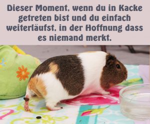 Read more about the article Dieser Moment wenn…