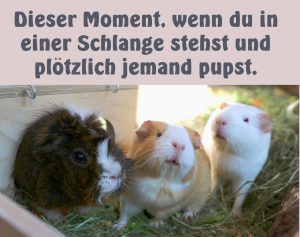 Read more about the article Dieser Moment…